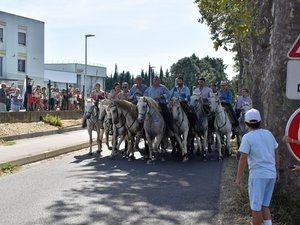 Vergers de pommiers et coopérative étaient ouverts au grand public