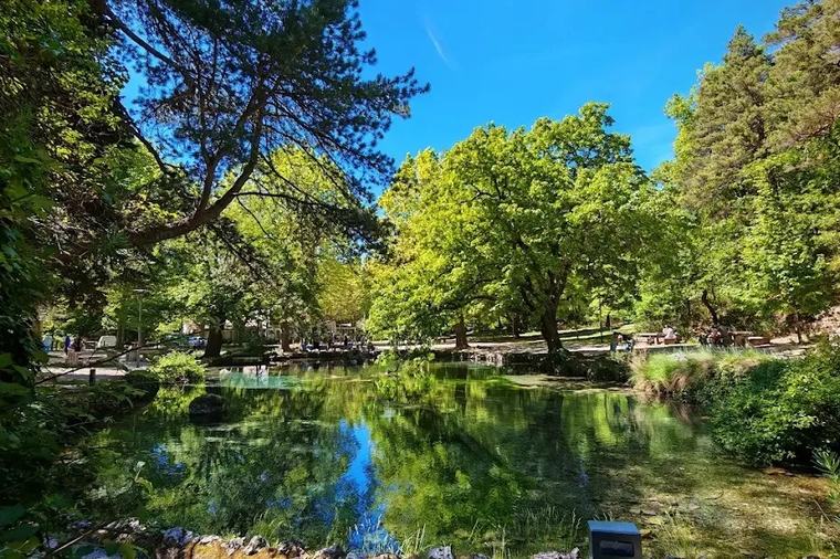 Des poissons morts sur plusieurs kilomètres : une station d'épuration verse 50 000 euros d'indemnités après avoir pollué une rivière