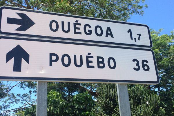 Accident mortel à Ouégoa : une femme perd la vie après une sortie de route