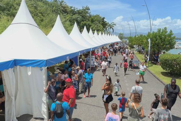 Sport, culture, loisirs : à Baie-Mahault, les associations font le plein