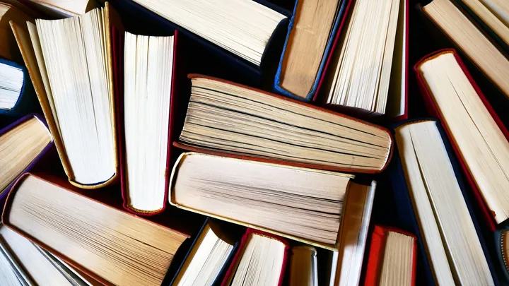 Haenel, Bellanger, Rico, Kasischke, Joncour : quel livre faut-il lire cette semaine selon le Masque ?