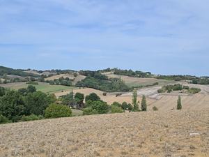 Présidentielle 2027 - Agriculture : que proposent les candidats face aux crises que traversent le monde agricole ?