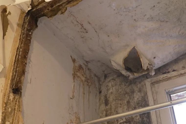 "On est abandonnés" : le calvaire des habitants d'un ensemble HLM, leurs loyers suspendus pour insalubrité