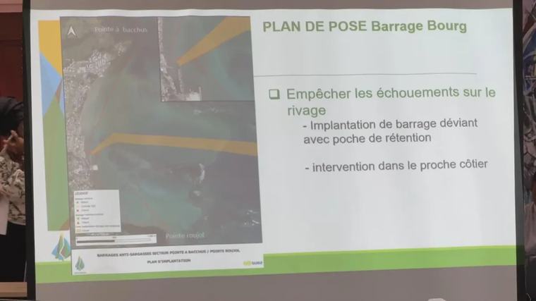 Une délégation de sénateurs à l’épreuve des sargasses, à Petit-Bourg