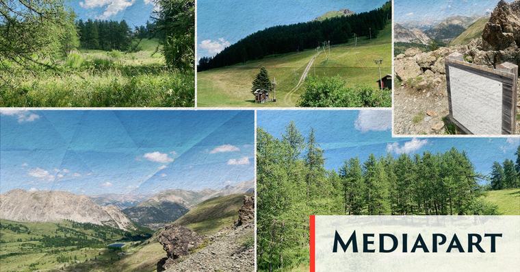Le Briançonnais se mobilise contre des coupes d’arbres en vue des Jeux de 2030
