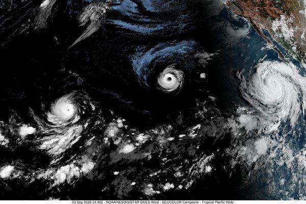 Trois ouragans en même temps dans le Pacifique, un phénomène rare favorisé par El Niño