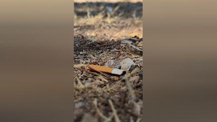 Un an de prison pour un jet de mégot ?