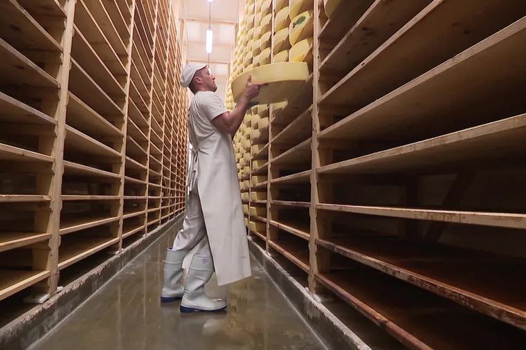 "C'est vital pour certaines exploitations" : face à la sécheresse, les éleveurs du Comté, Morbier, Bleu de Gex et Mont d'Or demandent à changer les règles de l'AOP