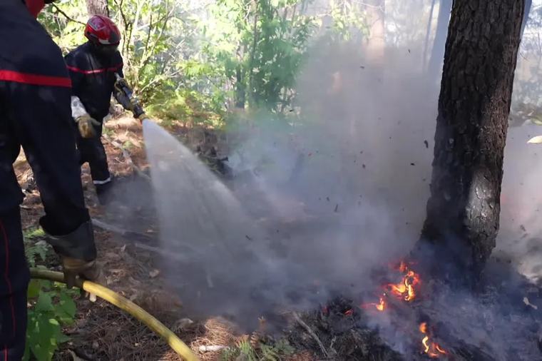 Incendie en Ardèche : "Le feu n’est pas fixé, n’est pas circonscrit, n’est pas éteint", 250 pompiers toujours mobilisés