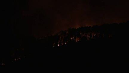 En Ardèche, des centaines de pompiers mobilisés après 50 hectares partis en fumée : "Les risques sont encore présents" ce vendredi, indique un commandant