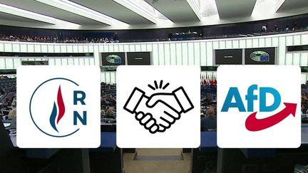 Pourquoi le RN a "acté la rupture" avec l'AfD
