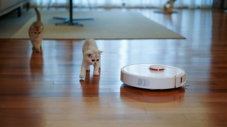 Aspirateur robot spécial poils d’animaux : top 5 des meilleurs modèles les plus endurants