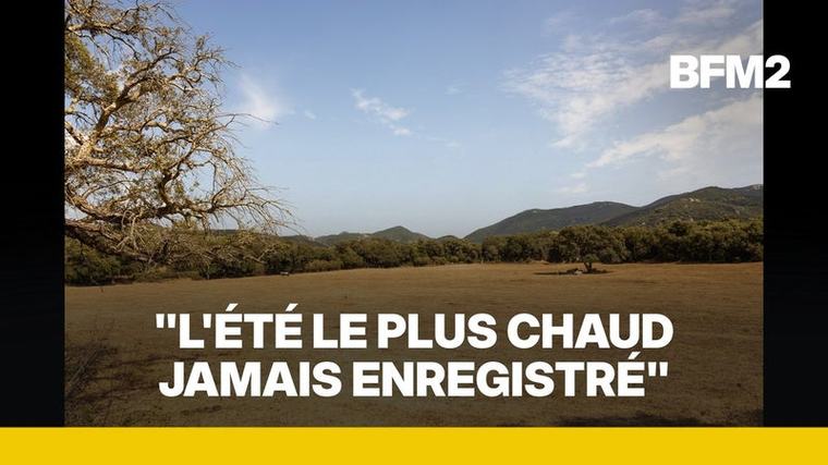 Les 40°C dépassés 178 fois: Météo France fait le bilan des canicules de cet été