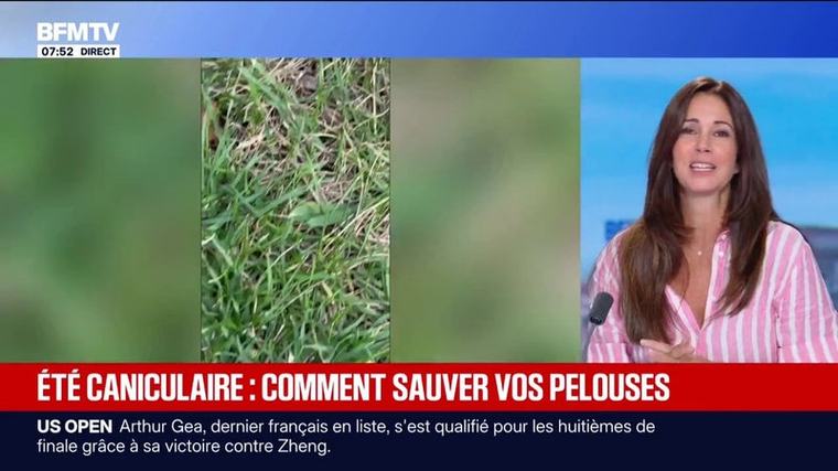 Comment sauver votre pelouse après des vagues de chaleurs successives?