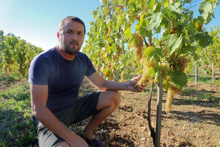 Julien Massé (UGVC) : « Dès qu’on veut s’attaquer à la France, on s’attaque au cognac »