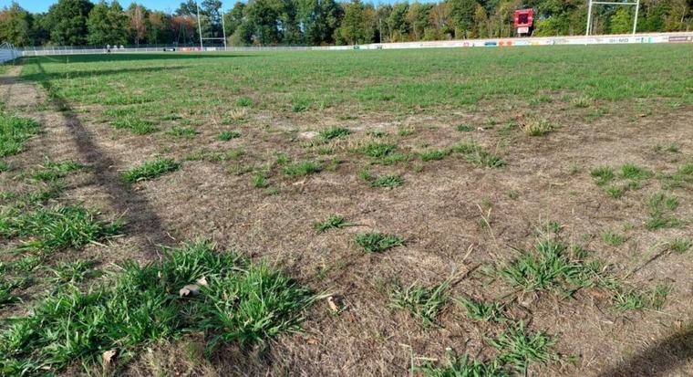 Entraînements sur la plage, créneaux partagés… leurs terrains impraticables, ces clubs de Loire-Atlantique s’adaptent