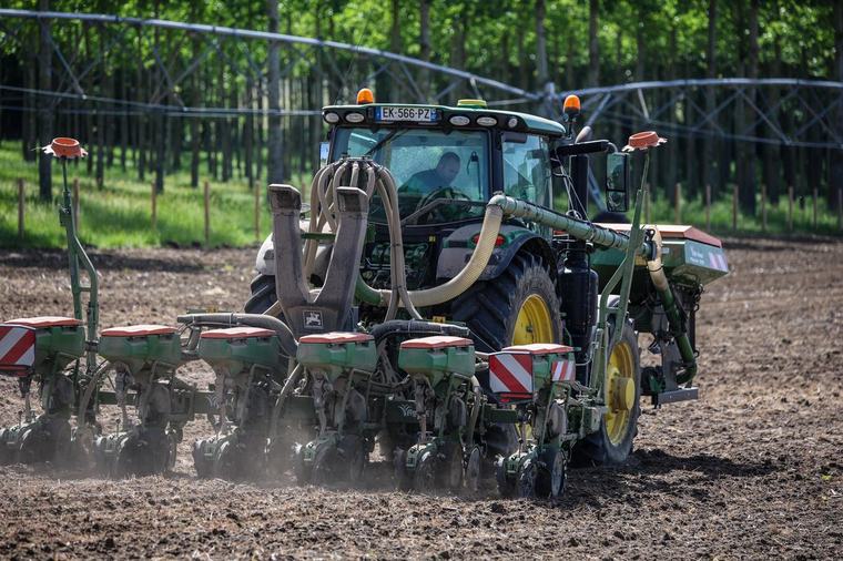 « 45 degrés à l’ombre, 50 au soleil ; forcément la plante meurt » : la filière semences inquiète, après un été « catastrophique »