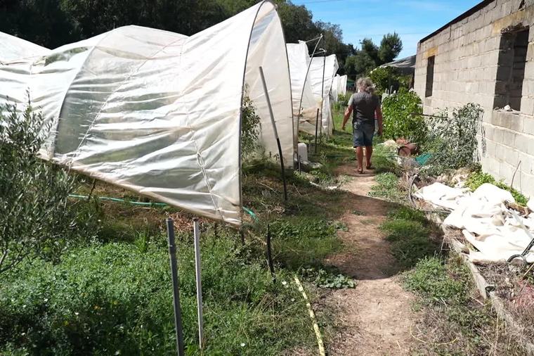 "Je ne vois pas en quoi ça peut aider à passer cette crise" : l'aide d'1 milliard d'euros aux agriculteurs jugée insuffisante