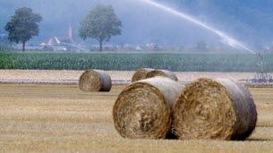 Alsace. Pour les agriculteurs du Bas-Rhin et du Haut-Rhin, le plan de soutien du gouvernement est insuffisant