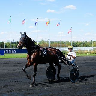 Les pronostics du Quinté de Vincennes du 5 septembre 2026 par Jack Vautrin