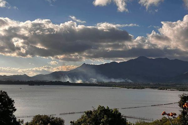 MONT-DORE. Les deux feux de brousse de Saint-Louis sont éteints