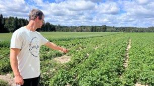 Haute-Loire. « Il faudra accepter de manger de plus petites pommes de terre » : pourquoi la récolte s’annonce mauvaise