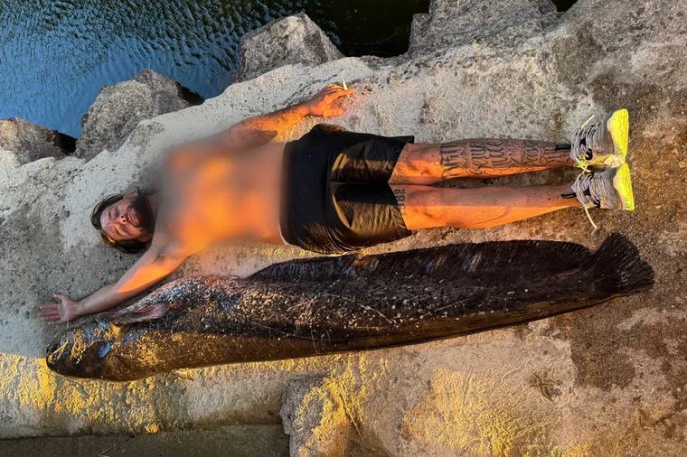 VIDÉO. Après 20 minutes de combat, il pêche un silure de 2,33 mètres dans la Loire : "j'avais un peu mal aux bras quand même"