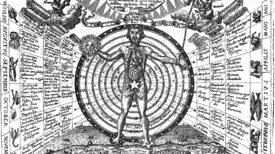 Médecine magique : tous les remèdes sont dans la nature