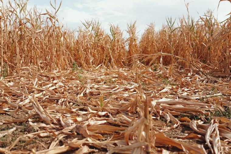 Agriculture : le plan d’aide d’un milliard d’euros ne convainc pas en Centre-Val de Loire