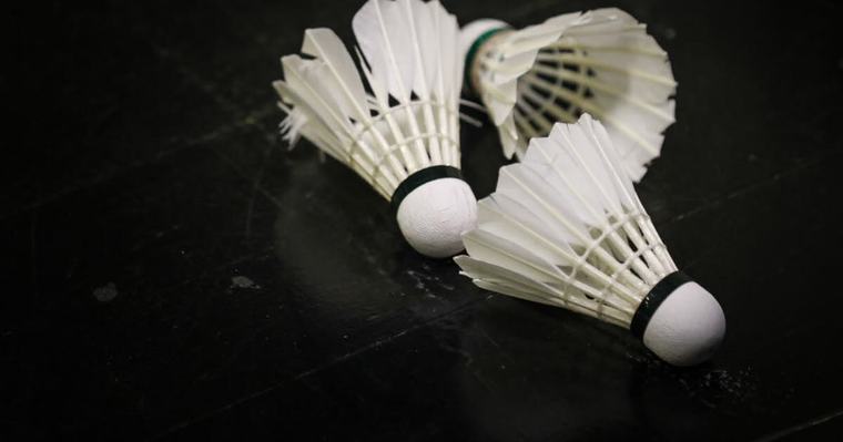 Besançon. Le club de badminton ouvre ses portes