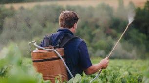 Alsace. La biodynamie : espoir pour les vignes ou idée “lunaire” ?