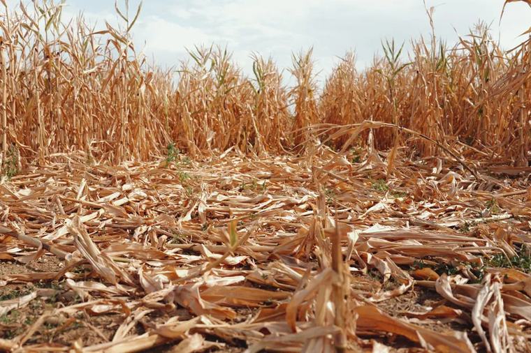 Agriculture : le plan d’aide d’un milliard d’euros ne convainc pas en Centre-Val de Loire