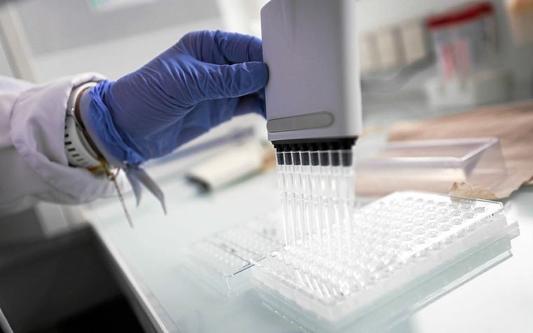 Institut Pasteur : deux communes bretonnes nommées « Villes ambassadrices » du Pasteurdon