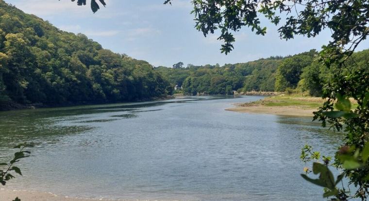 Une randonnée facile en Côtes-d'Armor : longez le Léguer de Lannion jusqu'à la mer