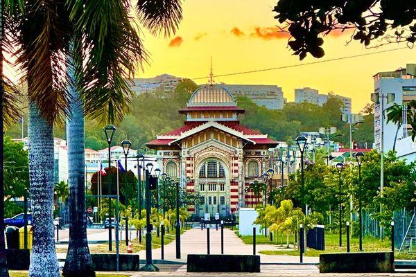 Hot Topics from Martinique and the Caribbean