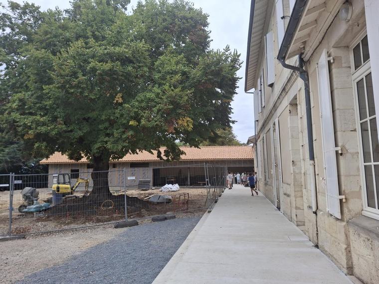 « Il nous fallait mettre tous les équipements aux normes » : à Asques, la commune refait à neuf le réfectoire de l’école et rouvre la cour à la nature