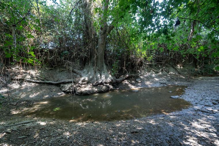 Sécheresse. « Les historiques de la sécheresse record de 2022 définitivement battus » : les petits cours d’eau dans un état de dégradation « exceptionnel »