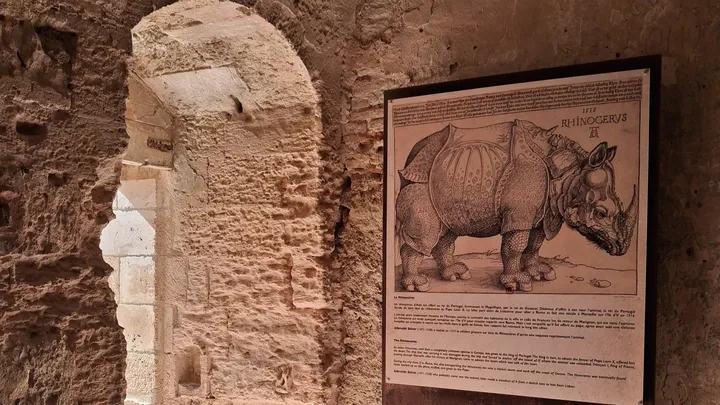 Le château d’If 1/2 : Le roi et le rhinocéros