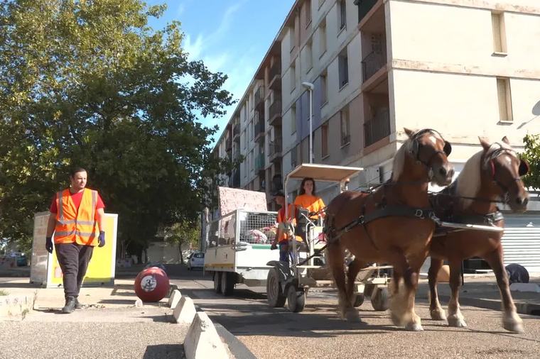 "Ça donne le sourire" : les chevaux remplacent les camions de poubelles dans cette ville pour gérer les encombrants et ça n'est pas sans effet