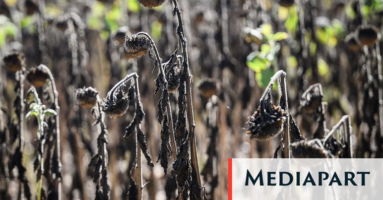Sécheresse : le plan d’urgence du gouvernement ne satisfait pas les agriculteurs