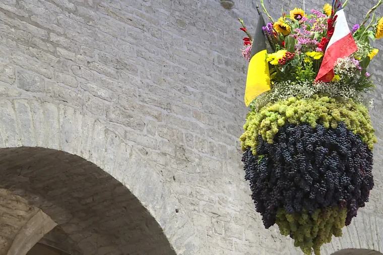 Une incroyable grappe de raisins de 100 kg : à Arbois, la Fête du Biou, fierté des vignerons, bientôt au patrimoine mondial de l'Unesco ?