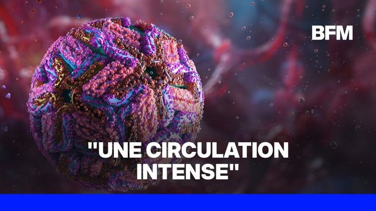 Qu’est-ce que le virus du Nil, dont 39 cas ont été recensés en France?