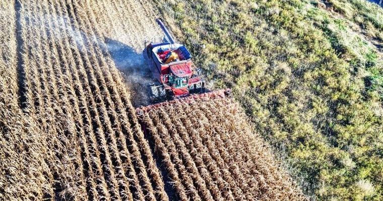 Politique Sécheresse : certains ministères devront faire des "efforts" pour financer le plan d'aide d'un milliard d'euros aux agriculteurs