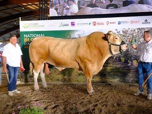 Sonic, le taureau de plus d'une tonne appartenant à Didier Parrel, triomphe au National blonde d'Aquitaine à Agen, une consécration pour l'éleveur