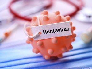 Hantavirus : délai trop long, infirmières absentes, rapatriement en jet privé... comment la contamination d'un jeune français a entraîné la quarantaine de 45 personnes cet été