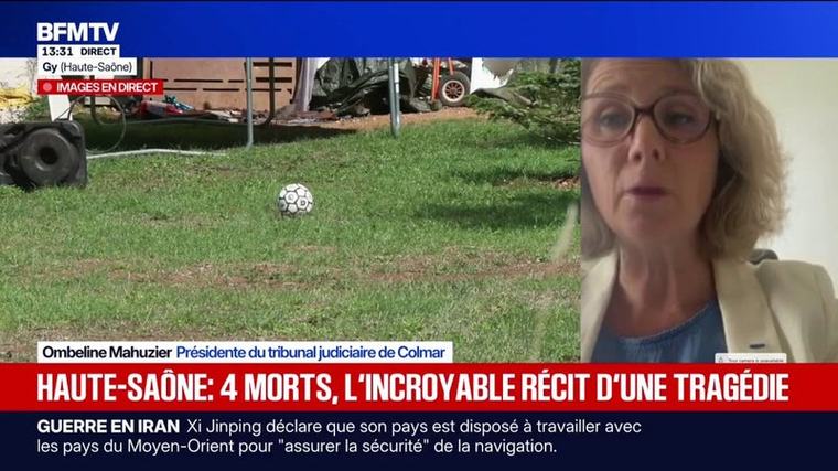 Violences vicariantes: "Bien souvent, les auteurs annoncent à l'avance leur mode opératoire, comment ils vont s'en prendre aux enfants", détaille Ombeline Mahuzier, présidente du tribunal judiciaire de Colmar