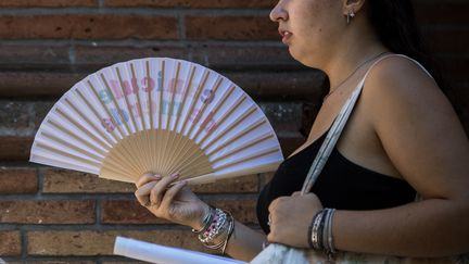 "Dans la lignée de cet été interminable" : la chaleur va faire son retour cette semaine en France, jusqu'à 38°C attendus dans le Sud-Ouest