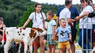 Dambelin. Après un an d’absence, le comice du pays de Montbéliard a fait son retour