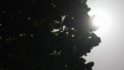 Des records de température battus en Provence pour un mois de septembre