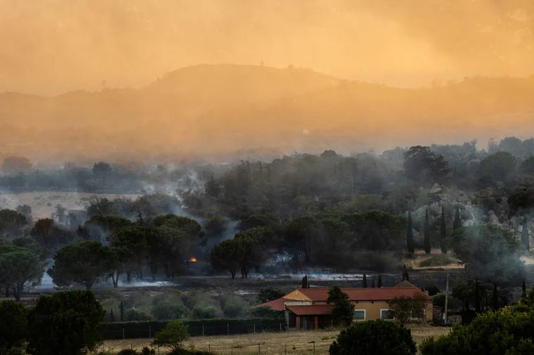 "Mieux se préparer aux incendies de l'été prochain" : les services de l'Etat appellent les communes de ce département à replanter des vignes